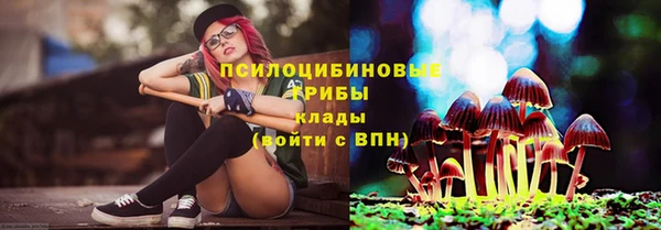 бошки Алексин