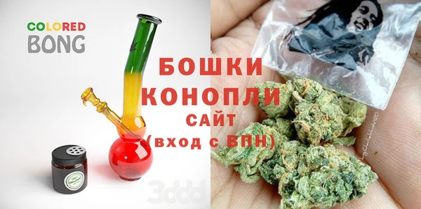 бошки Алексин